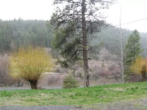 68949 Middle Fork Rd, Long Creek, OR 97856 photo 3
