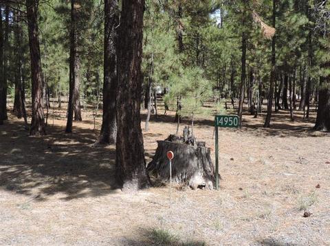 14950 Ironbark, La Pine, OR 97739 photo 3