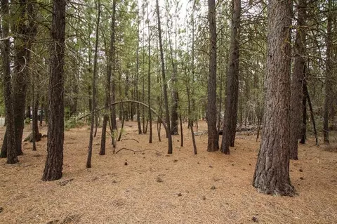 14635 Bear Berry, La Pine, OR 97739 photo 8
