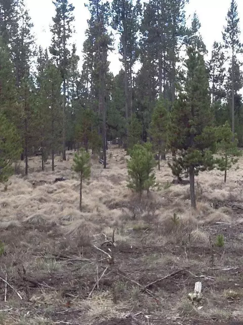 17033 Laguna Rd, Bend, OR 97707 photo 5