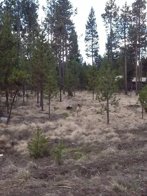 17033 Laguna Rd, Bend, OR 97707 photo 4