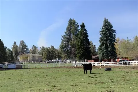 22585 Martee Ln, Bend, OR 97701 photo 22