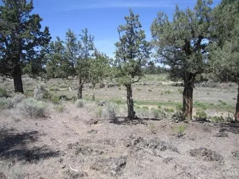 61100 NE Obernolte Rd, Bend, OR 97701 photo 13