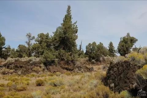61100 NE Obernolte Rd, Bend, OR 97701 photo 14