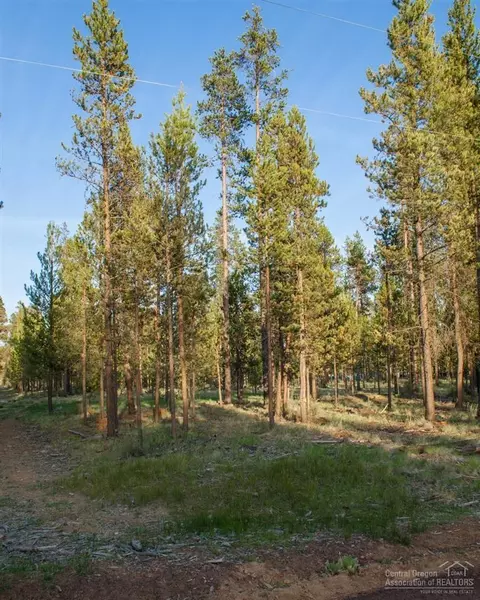 56006 Browning Dr, Bend, OR 97707 photo 3