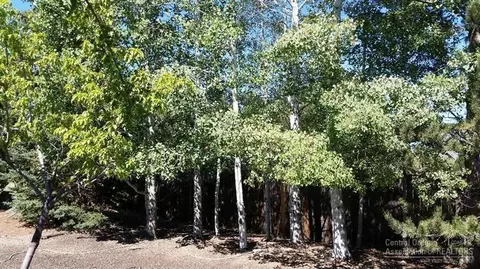 64819 NW Saros Ln, Bend, OR 97701 photo 4