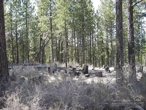 54575 Gray Squirrel Dr, Bend, OR 97707 photo 7