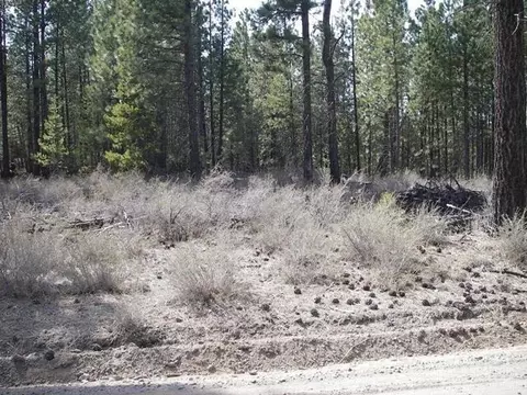 54575 Gray Squirrel Dr, Bend, OR 97707 photo 8