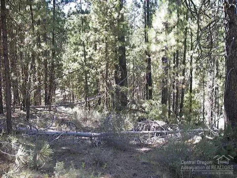 54575 Gray Squirrel Dr, Bend, OR 97707 photo 2