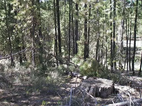 54575 Gray Squirrel Dr, Bend, OR 97707 photo 3