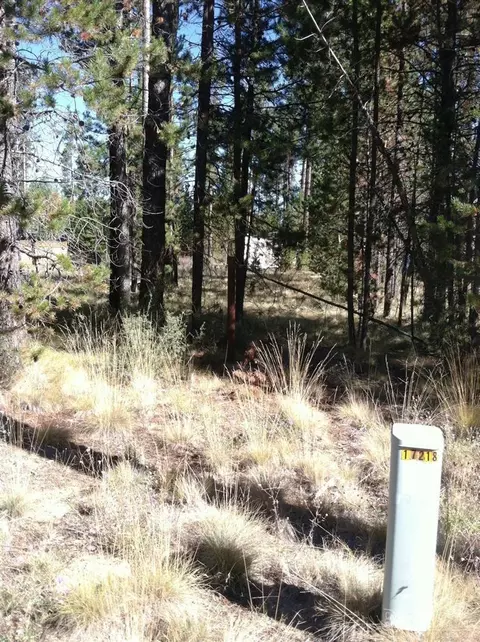 17208 Pintail, Bend, OR 97707 photo 2