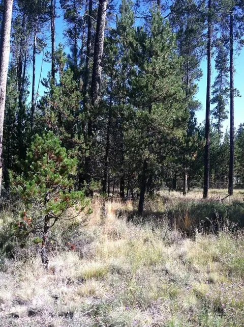 17208 Pintail, Bend, OR 97707 photo 7