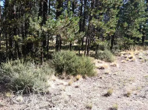 17208 Pintail, Bend, OR 97707 photo 3