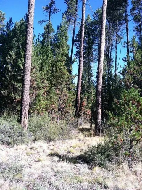 17208 Pintail, Bend, OR 97707 photo 5