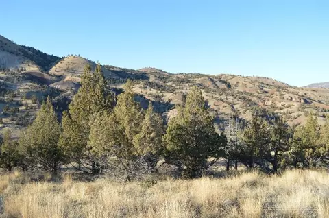 34203 Burnt Ranch Rd, Mitchell, OR 97750 photo 6
