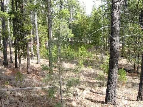 15182 W River Loop Dr, Bend, OR 97707 photo 8