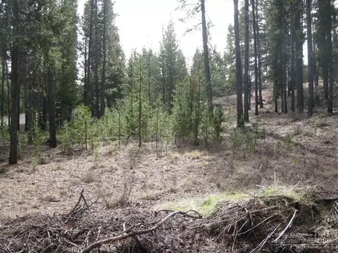 15182 W River Loop Dr, Bend, OR 97707 photo 7