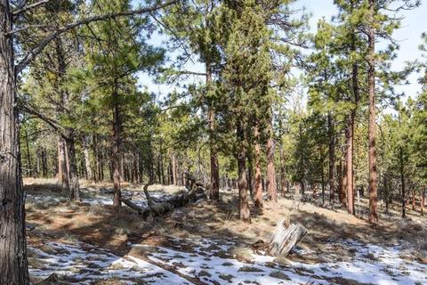 19135 Doe Ln, Bend, OR 97701 photo 9