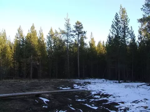 53745 NW Central Way, La Pine, OR 97739 photo 3