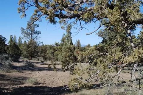 62910 Waugh Rd, Bend, OR 97702 photo 6