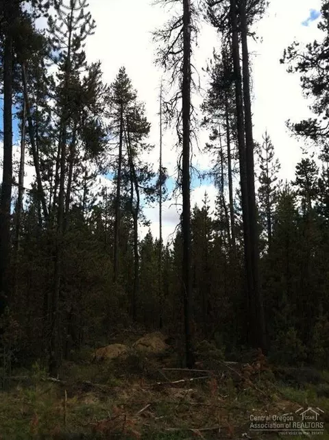 17153 Pasadena Rd, Bend, OR 97707 photo 2