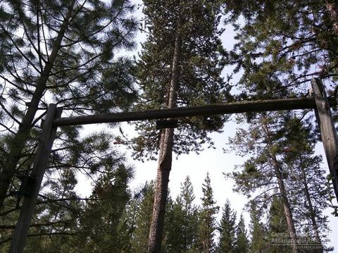 16421 Sprague Loop, La Pine, OR 97739 photo 11