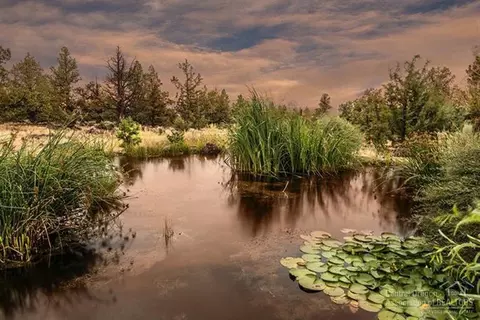 21222 Gift Rd, Bend, OR 97701 photo 19