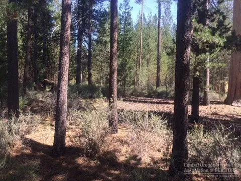 53378 Eagle Ln, La Pine, OR 97739 photo 1