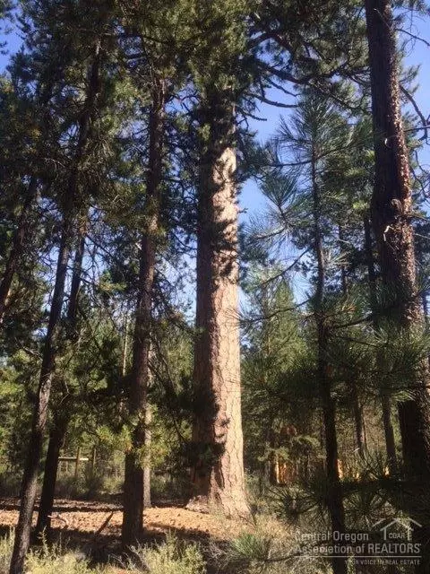 53378 Eagle Ln, La Pine, OR 97739 photo 3