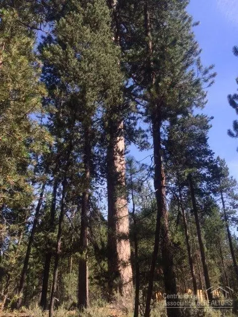 53378 Eagle Ln, La Pine, OR 97739 photo 4