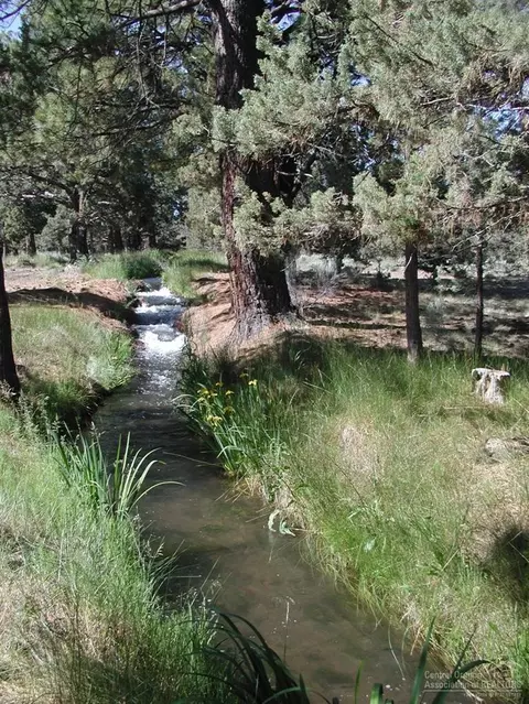 61050 Larsen Rd, Bend, OR 97702 photo 10
