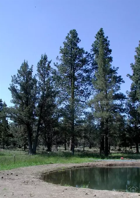 61050 Larsen Rd, Bend, OR 97702 photo 13