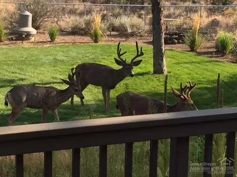 21415 Gift Rd, Bend, OR 97701 photo 17