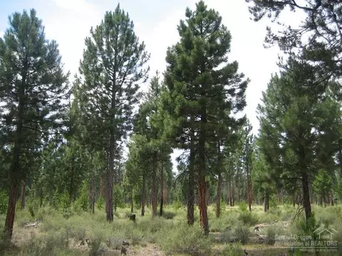 14207 Whitewater Loop, La Pine, OR 97739 photo 3