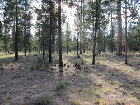 52104 Foxtail, La Pine, OR 97739 photo 9
