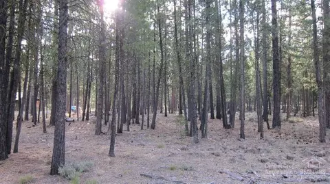 52104 Foxtail, La Pine, OR 97739 photo 3