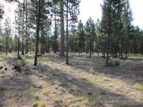 52104 Foxtail, La Pine, OR 97739 photo 10