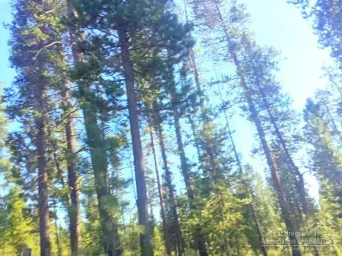 52405 Ammon Rd, La Pine, OR 97739 photo 3
