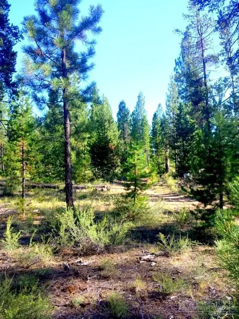 52405 Ammon Rd, La Pine, OR 97739 photo 2