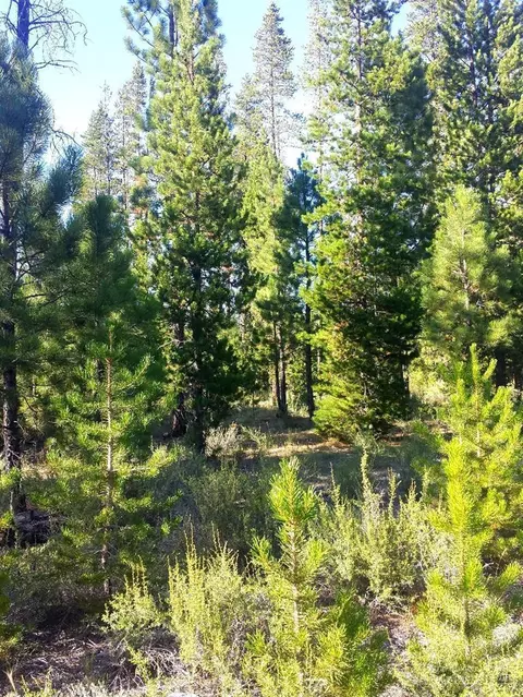 52405 Ammon Rd, La Pine, OR 97739 photo 11