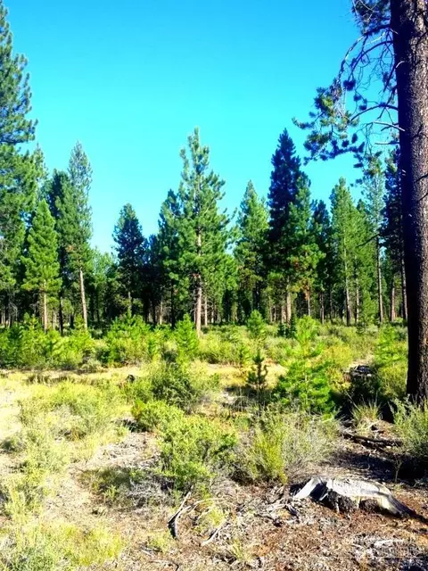 52405 Ammon Rd, La Pine, OR 97739 photo 9