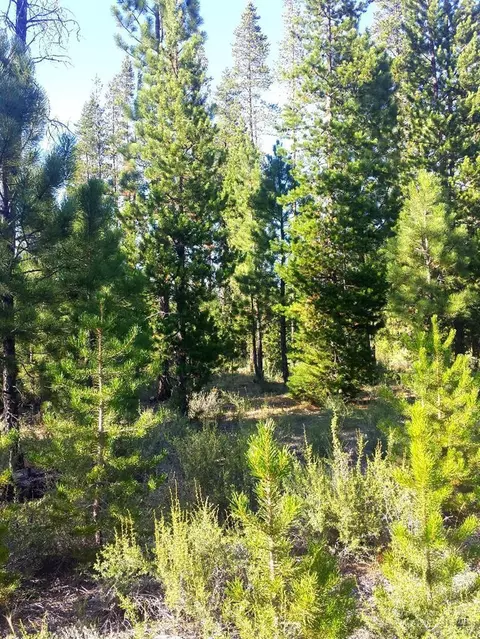 52405 Ammon Rd, La Pine, OR 97739 photo 10