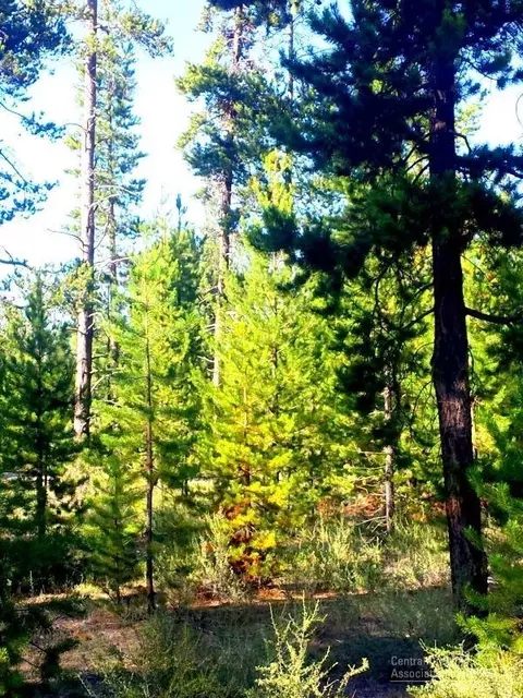 52405 Ammon Rd, La Pine, OR 97739 photo 16