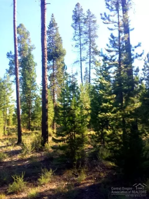 52405 Ammon Rd, La Pine, OR 97739 photo 5