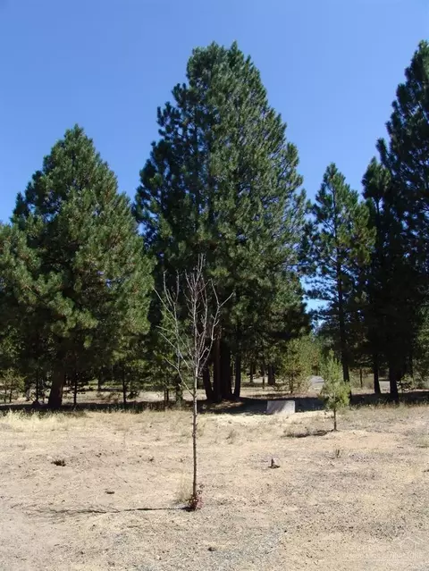52460 Westley Loop, La Pine, OR 97739 photo 22