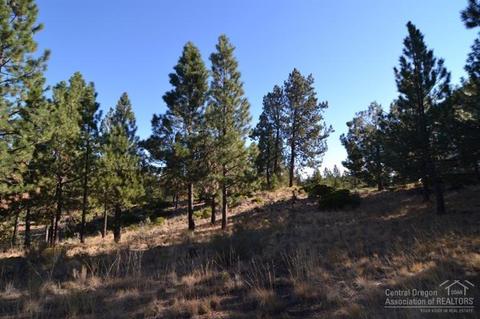 60170 Ridgeview Dr, Bend, OR 97702 photo 3