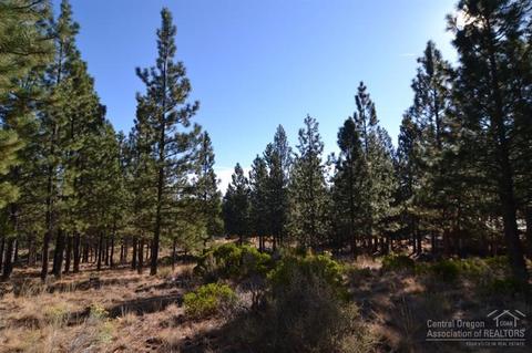 60130 Ridgeview Dr, Bend, OR 97702 photo 3