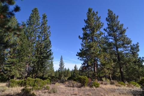60130 Ridgeview Dr, Bend, OR 97702 photo 5