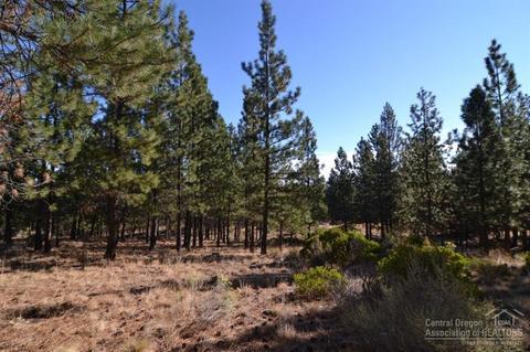 60130 Ridgeview Dr, Bend, OR 97702 photo 4