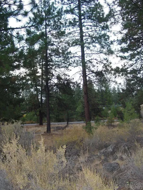 60281 Cheyenne Rd, Bend, OR 97702 photo 16